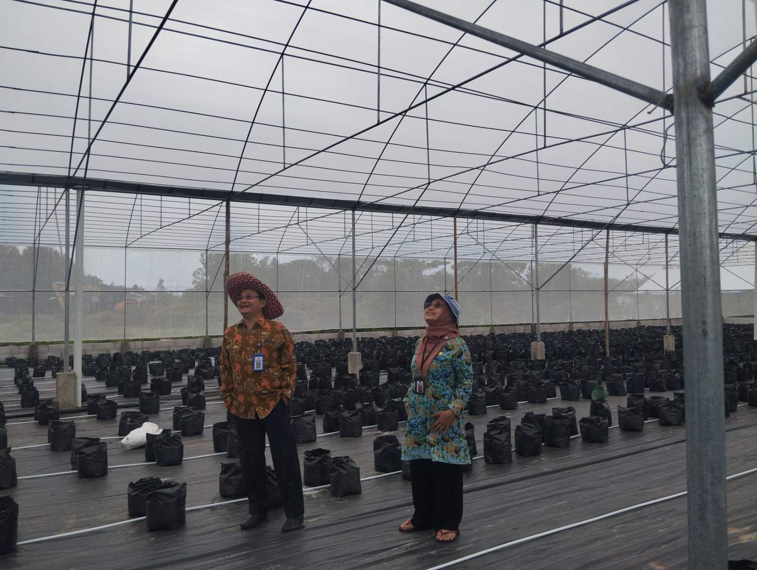 Kadis TPHP Sunarti Lakukan Kunjungan Lapangan Tinjau Progres Pembangunan Fasilitas