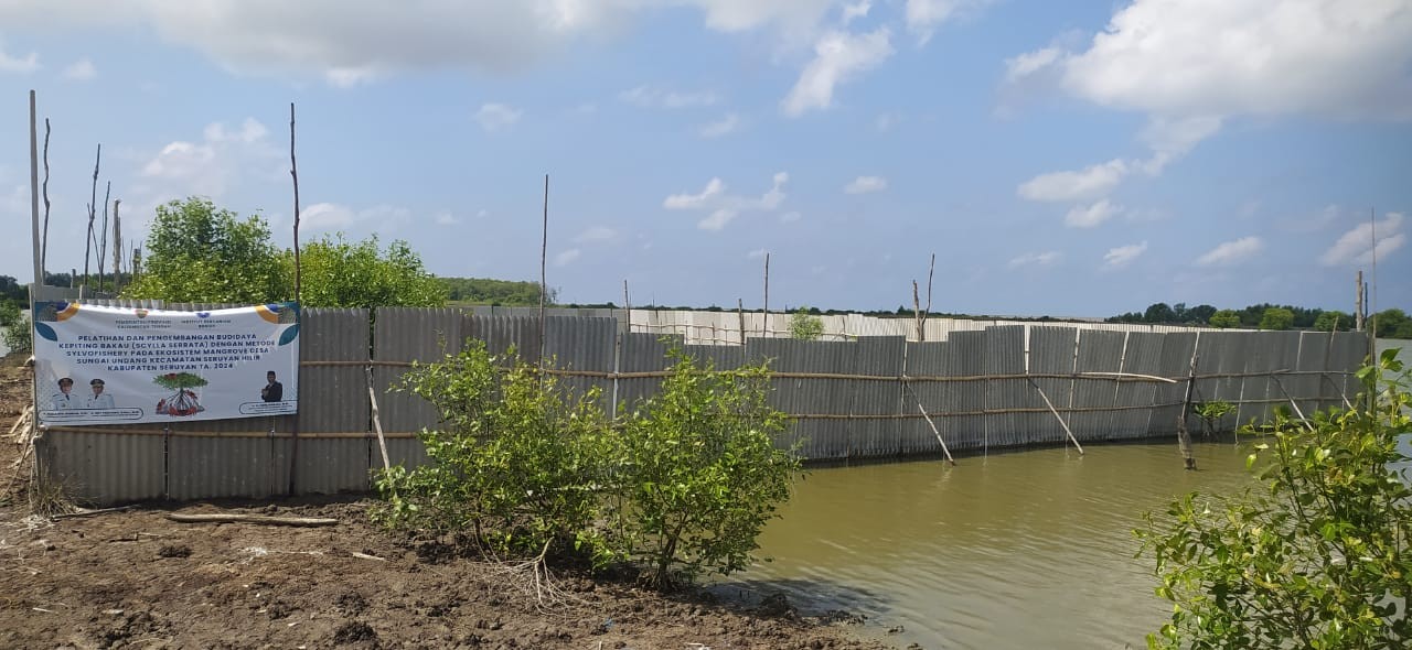 Dislutkan Prov. Kalteng Kembangkan Budidaya Kepiting Bakau