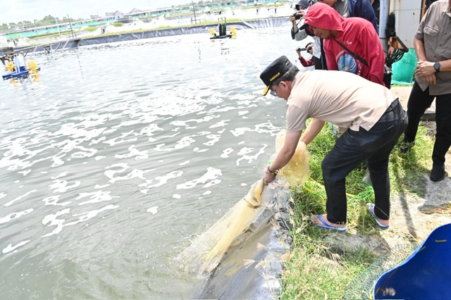 Gubernur Kalteng Agustiar Sabran Apresiasi Pembangunan Shrimp Estate di Kabupaten Sukamara