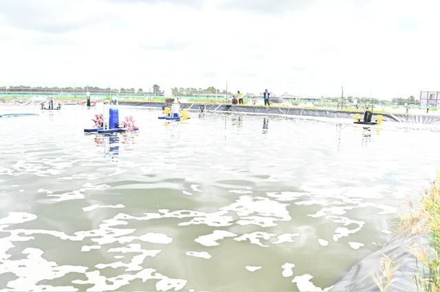 Gubernur Kalteng Agustiar Sabran Apresiasi Pembangunan Shrimp Estate di Kabupaten Sukamara