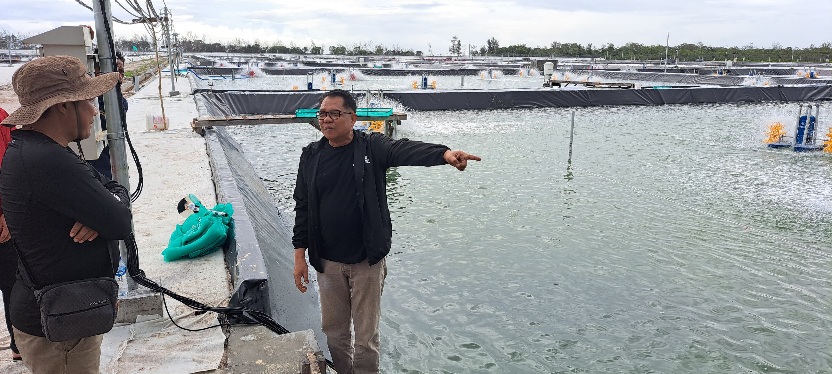 Kadislutkan Prov. Kalteng Darliansjah Lakukan Pengecekan Kawasan Shrimp Estate Berkah