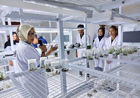 Sinergi Dunia Pendidikan dan Pemerintah, Mahasiswa UMPR Belajar Pemuliaan Tanaman di UPT Dinas TPHP Kalteng
