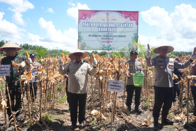 Wagub Kalteng Edy Pratowo Hadiri Panen Raya Jagung Serentak Kuartal II Tahun 2025