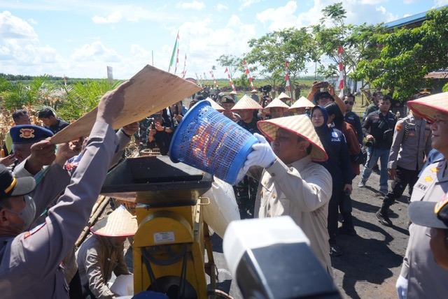 Wagub Kalteng Edy Pratowo Hadiri Panen Raya Jagung Serentak Kuartal II Tahun 2025