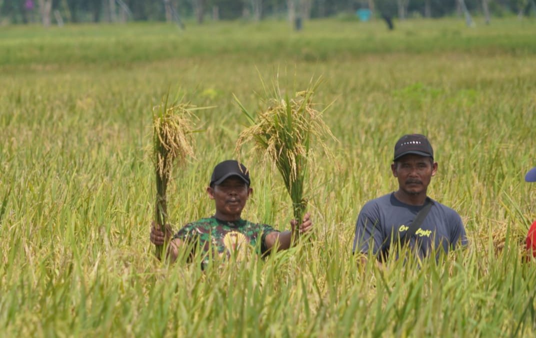 Wagub Kalteng Serahkan Sejumlah Bantuan Dari Pemprov Kalteng Kepada Kelompok Tani Pulang Pisau