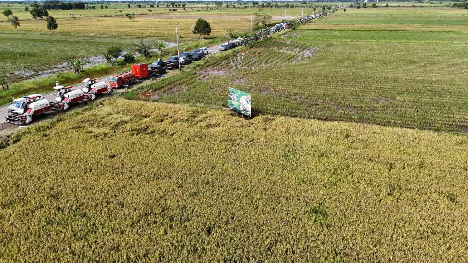 Dinas TPHP Prov. Kalteng Dukung Penuh Panen Raya Serentak