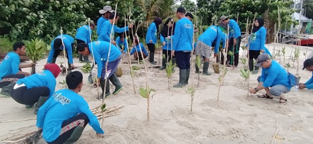 Dislutkan Prov. Kalteng Laksanakan Pelatihan dan Penanaman Mangrove