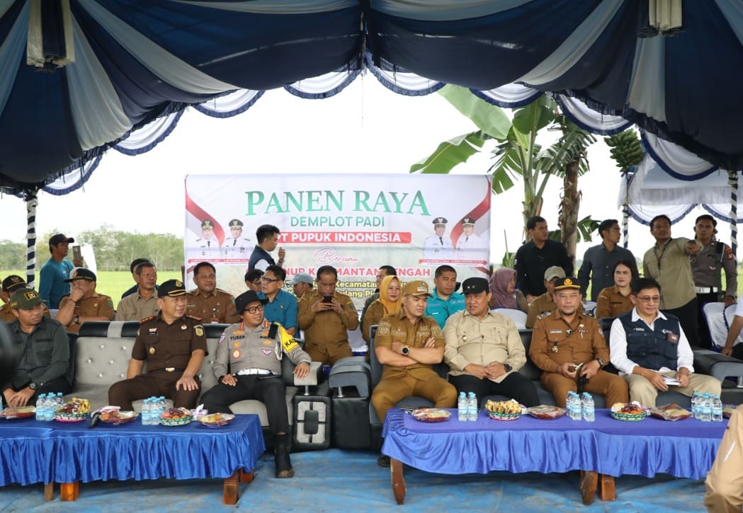 Sinergi Pemprov Kalteng dan PT Pupuk Indonesia Dalam Optimalisasi Lahan Melalui Panen Raya Demplot Padi