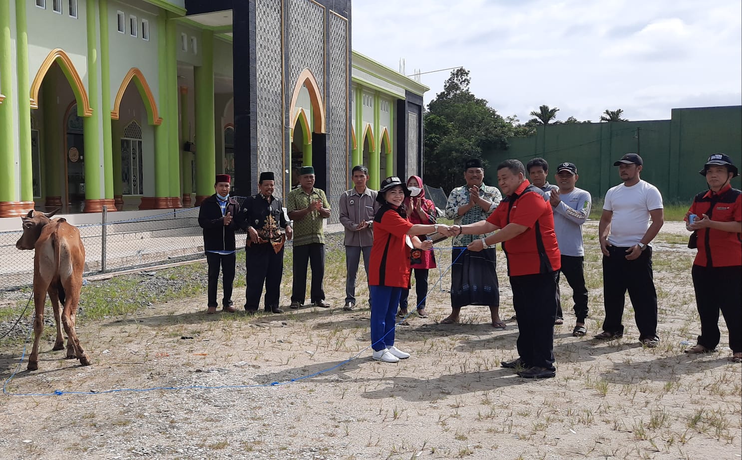 Pemprov Kalteng Serahkan 7 Ekor Hewan Kurban Untuk Masyarakat Kab. Gumas