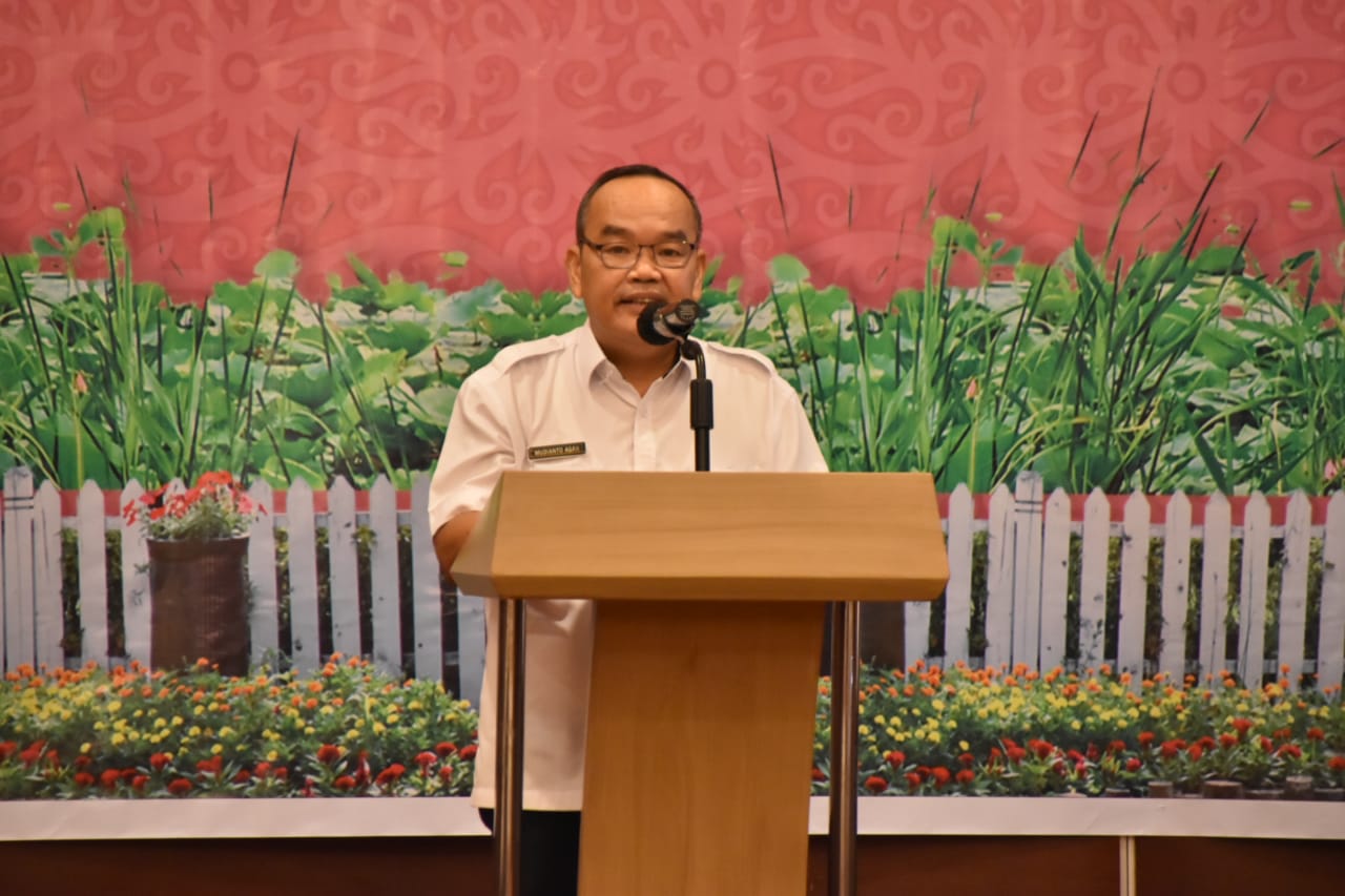 Kepala Disdagperin Prov. Kalteng  Buka Kegiatan Diseminasi Pelayanan Perizinan Berusaha Sektor Perindustrian Melalui Aplikasi Sistem Informasi Industri Nasional