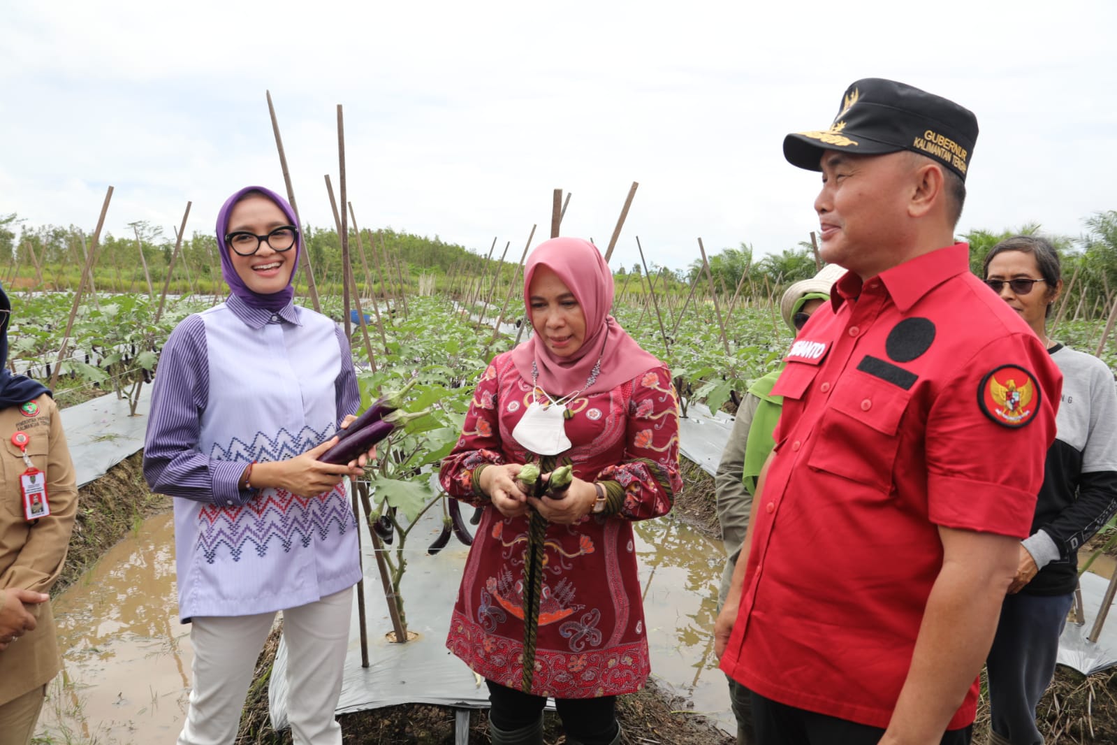 Gubernur Kalteng Dan Wagub Kunjungi Lokasi Pertanian Di Desa Garung