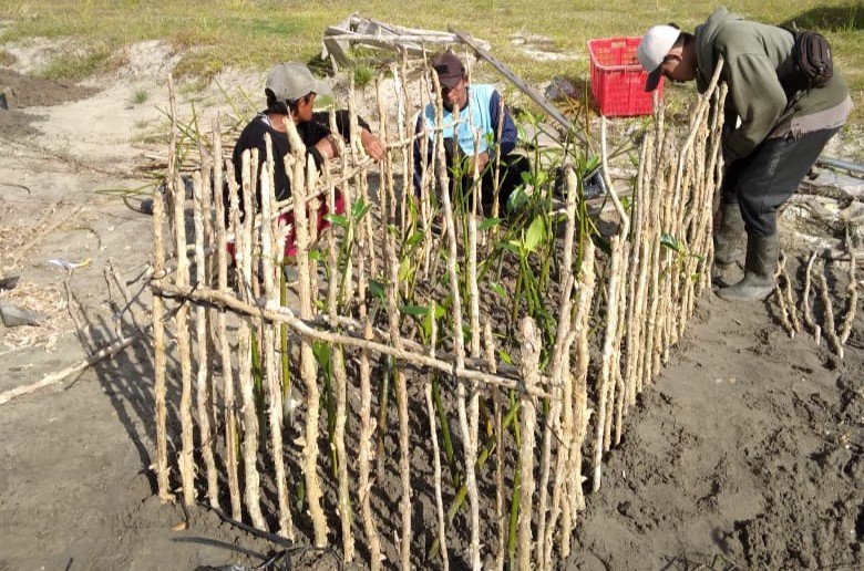 Dislutkan Prov. Kalteng Laksanakan Pelatihan dan Penanaman Vegetasi Pantai di Kawasan Shrimp Estate Berkah