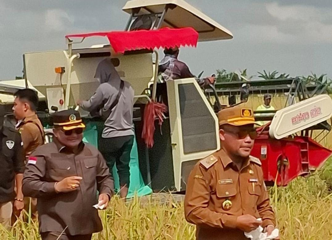 Kadis TPHP Tekankan Penggunaan Teknologi Pascapanen Modern