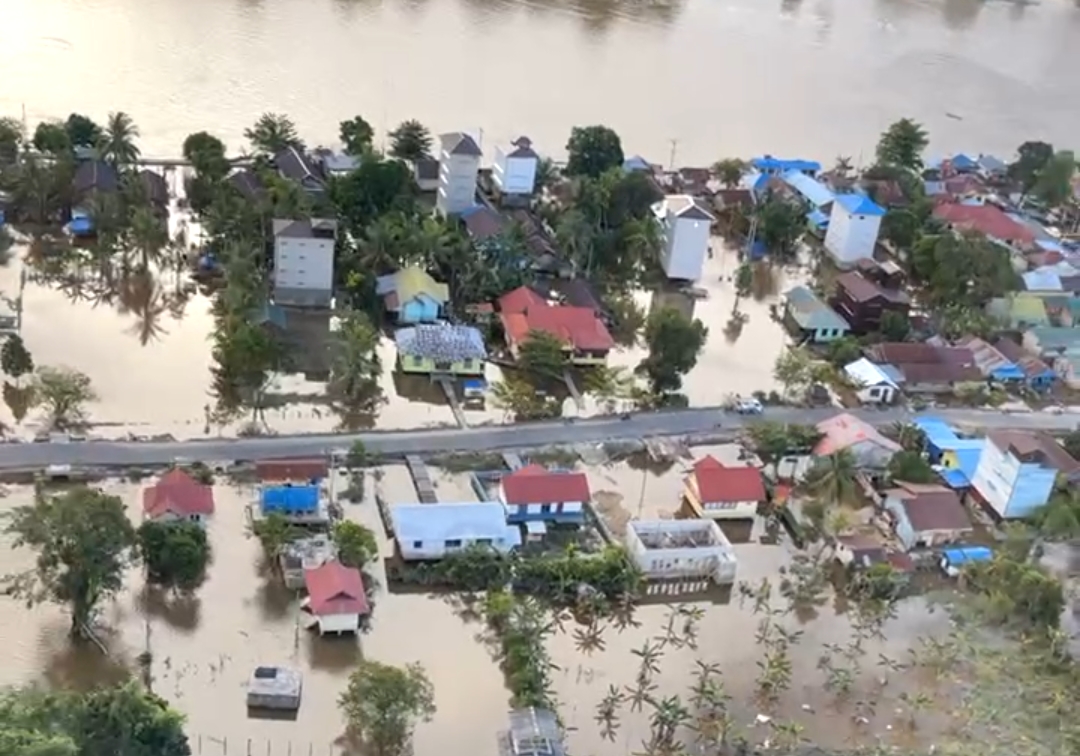 Gubernur Kalteng Pantau Banjir di Katingan Melalui Udara