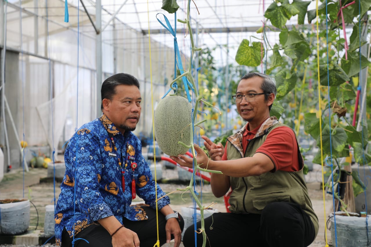 Gubernur Kalteng Agustiar Sabran Mendorong Pertanian Modern, Berdaya Saing, dan Berkelanjutan
