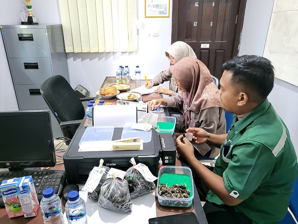 UPT BP3B Dinas Perkebunan Prov. Kalteng Laksanakan Sertifikasi Benih Kelapa Sawit di Desa Guci