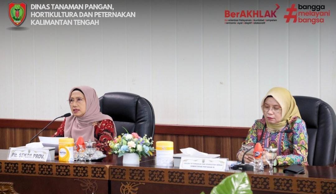 Pemprov Kalteng Jadi Salah Satu Target Investasi Sapi Perah