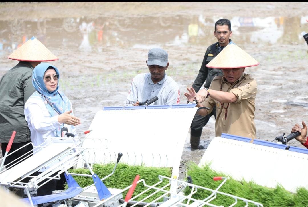 Kadis TPHP Prov Kalteng Sunarti Dampingi Gubernur Kalteng Dalam Gerak Tanam Serentak