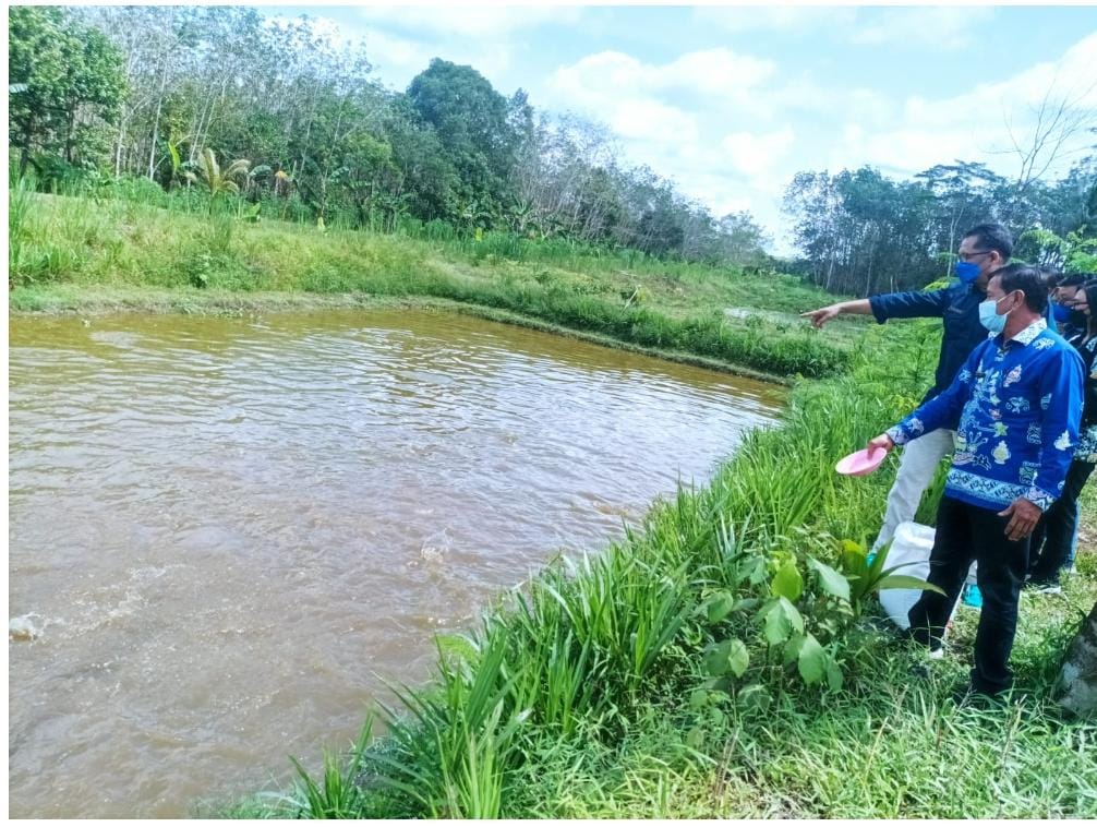 Pemprov. Kalteng Dan Pemkab Pulpis Bangun Kampung Budidaya Ikan Papuyu Di Desa Mantaren II