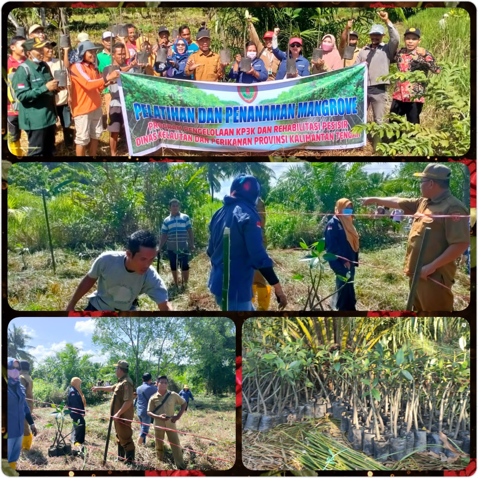Dislutkan Prov. Kalteng Buka Acara Pelatihan Dan Penanaman Mangrove Di Balai Desa Sabuai Kobar
