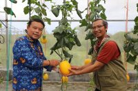 Gubernur Kalteng Agustiar Sabran Mendorong Pertanian Modern, Berdaya Saing, dan Berkelanjutan
