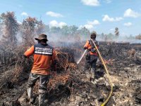 Ribuan Titik Panas Terdeteksi, Pemprov Kalteng Perkuat Penanganan Karhutla